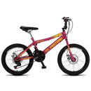 Bicicleta Infantil Aro 20 Colli Skill Girl 21 Marchas Freio a Disco
