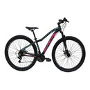 Bicicleta aro 29 fast al disc 21V 17 d.bike preta rsazl